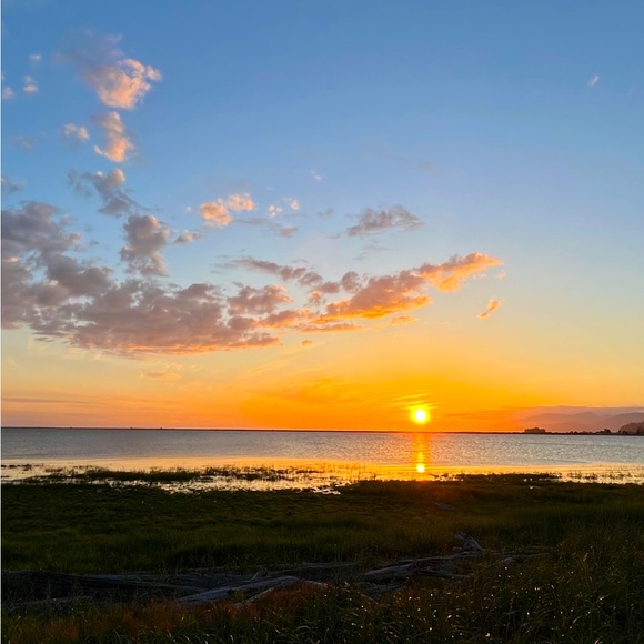 Meet your Posher, - Picture 1 of 1